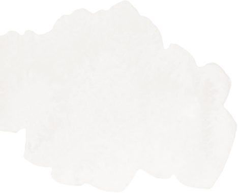 web tasarım firması